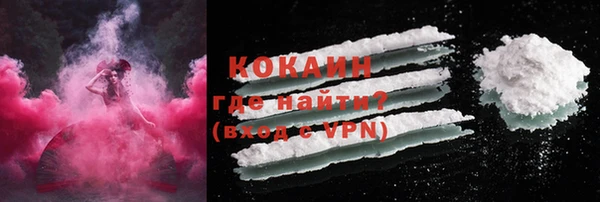 спайс Аша