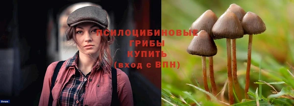 СК Суровикино