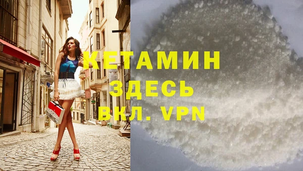 сатива Бабаево