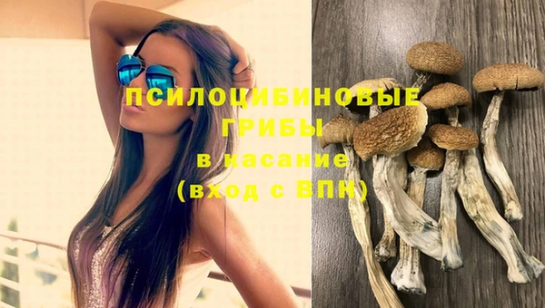apvp Ахтубинск