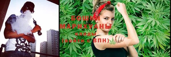 спайс Сураж