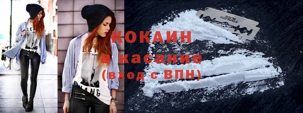 спайс Аша
