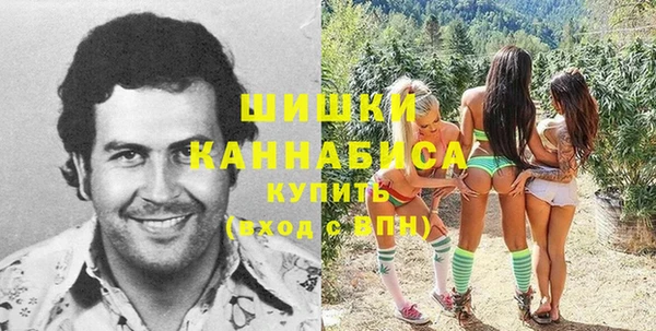 спайс Аша