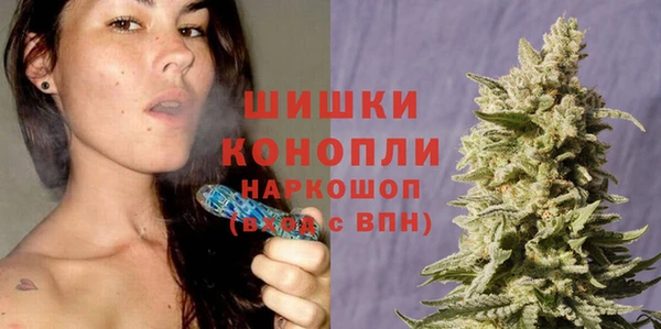 сатива Бабаево
