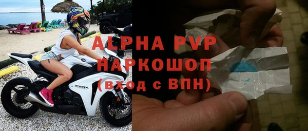 сатива Бабаево