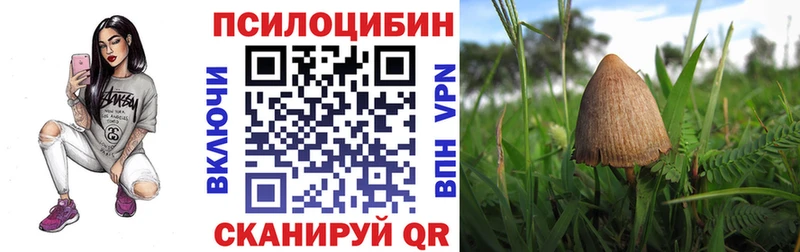 Галлюциногенные грибы MAGIC MUSHROOMS ОМГ ОМГ Богородск купить закладку