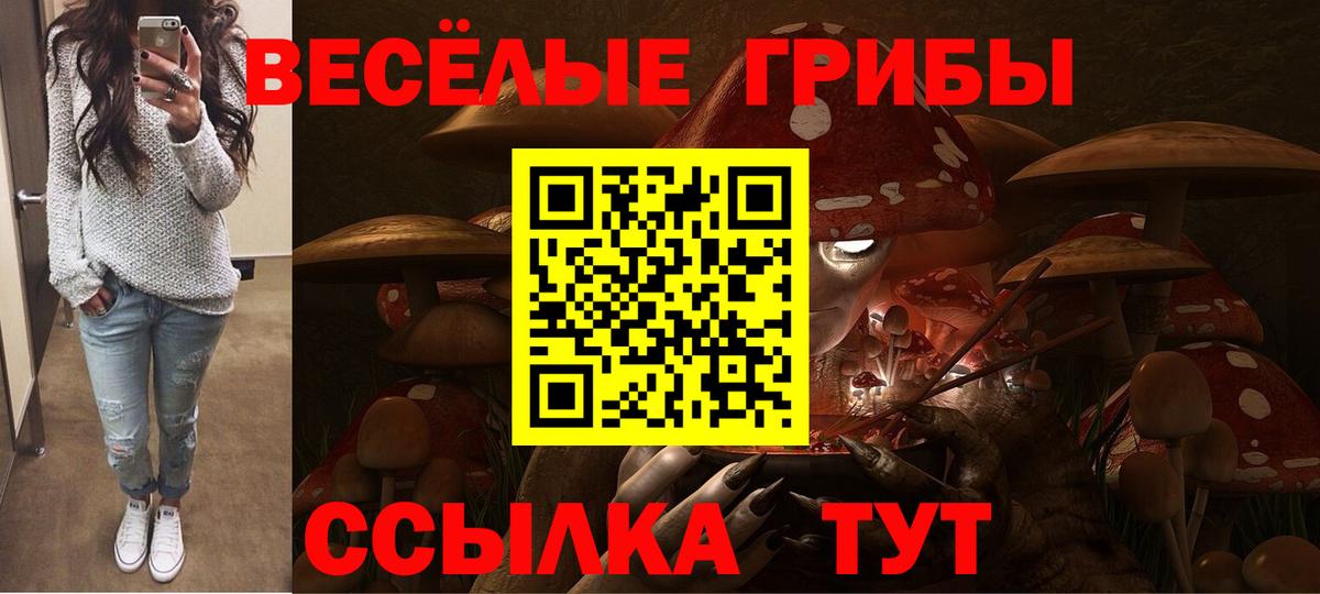 Псилоцибиновые грибы ЛСД Богородск