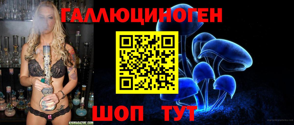 Галлюциногенные грибы Cubensis  Богородск 