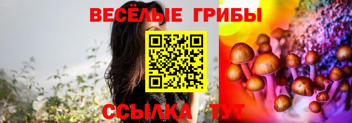 Псилоцибиновые грибы MAGIC MUSHROOMS Богородск